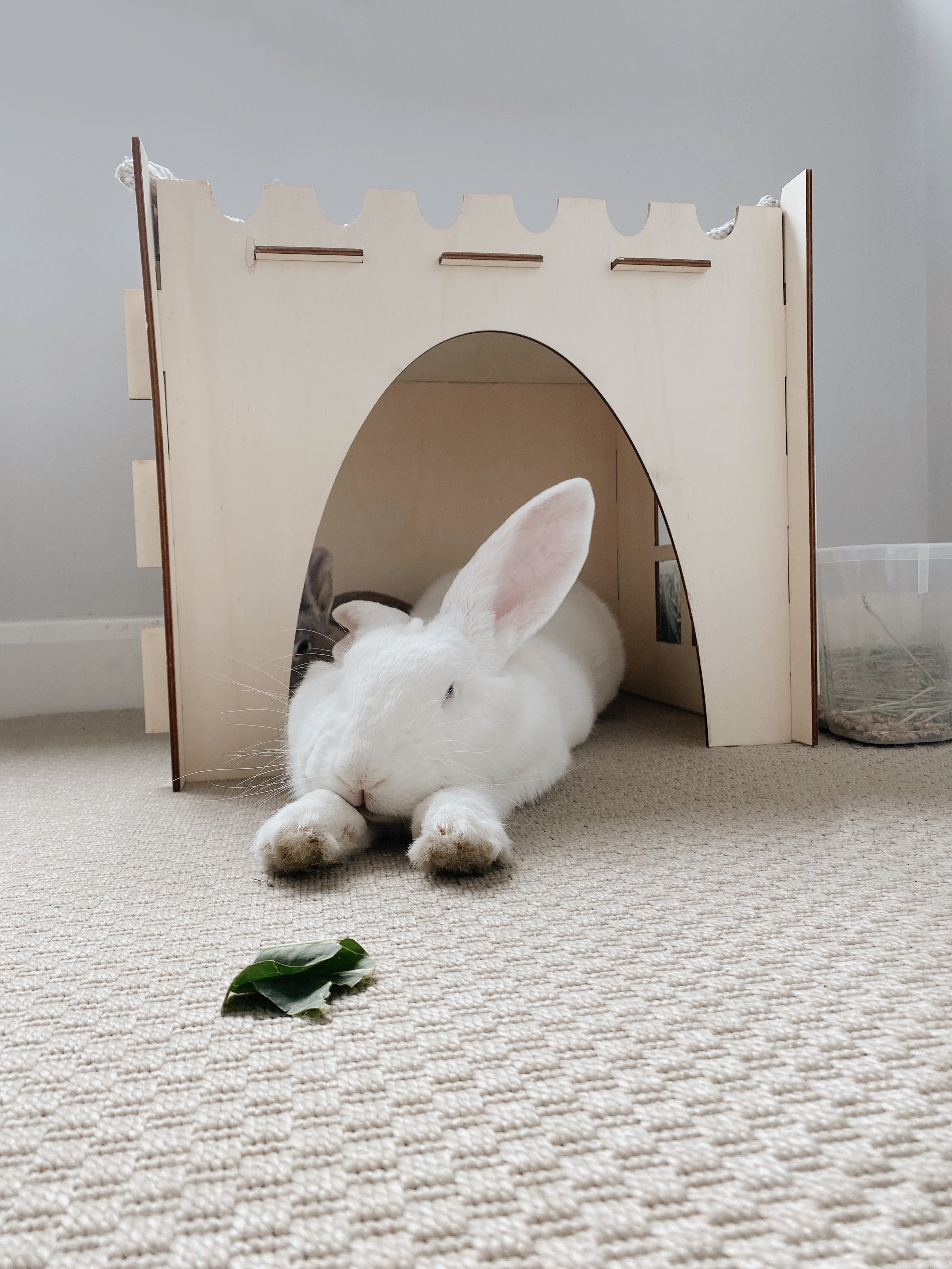 Giant Cosy’s Castle
