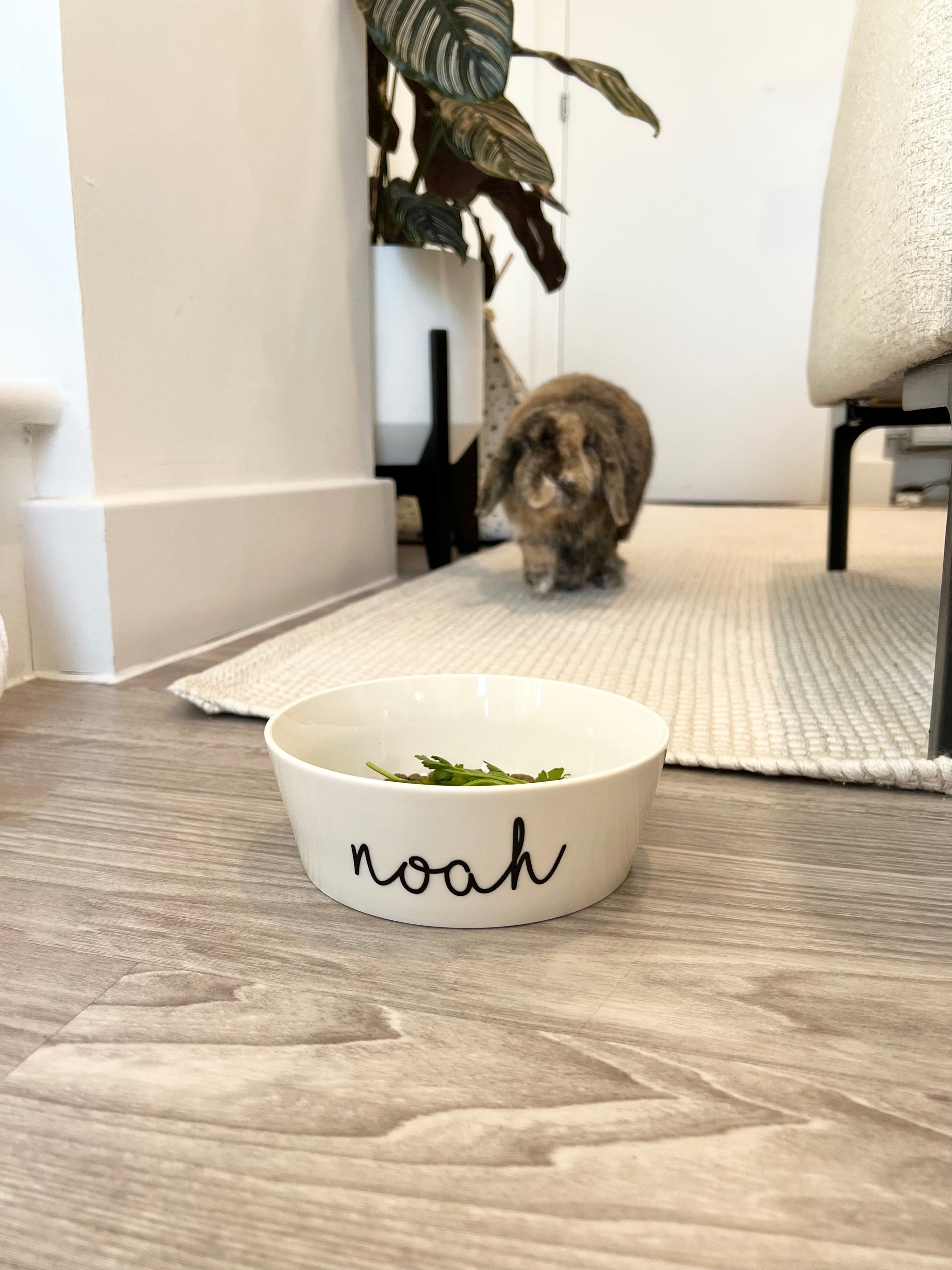 Personalised Pet Bowls