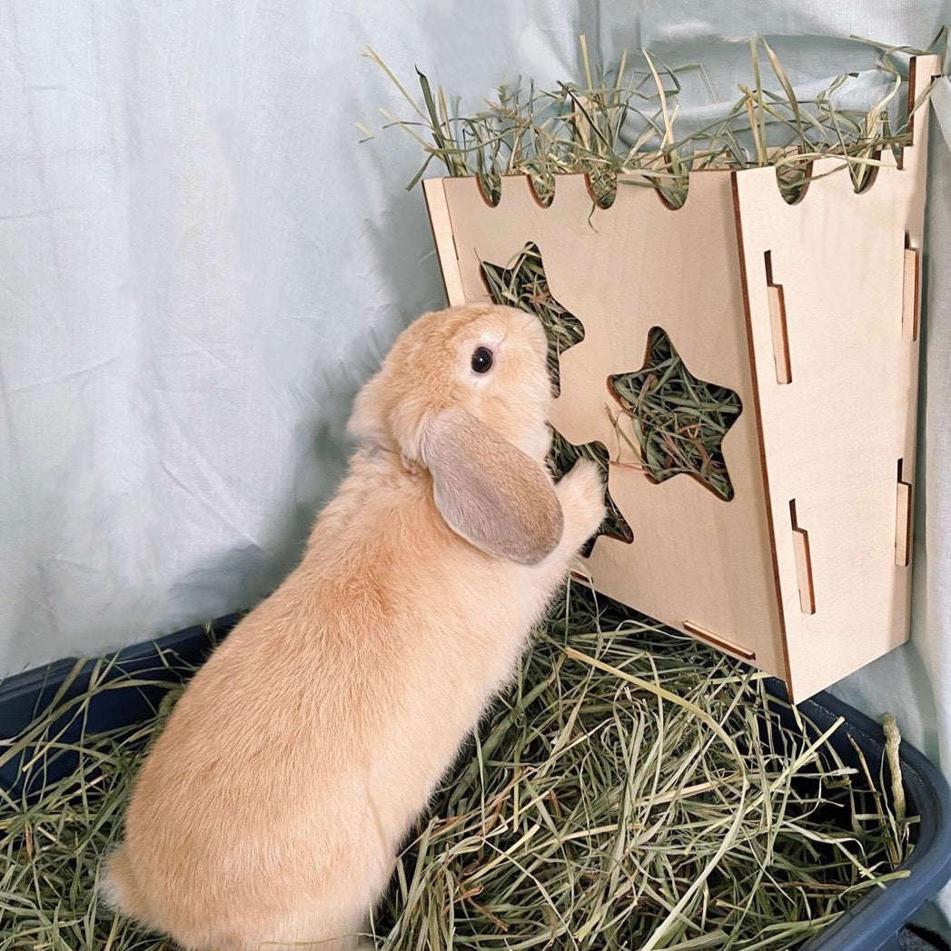 Essential Hay Rack