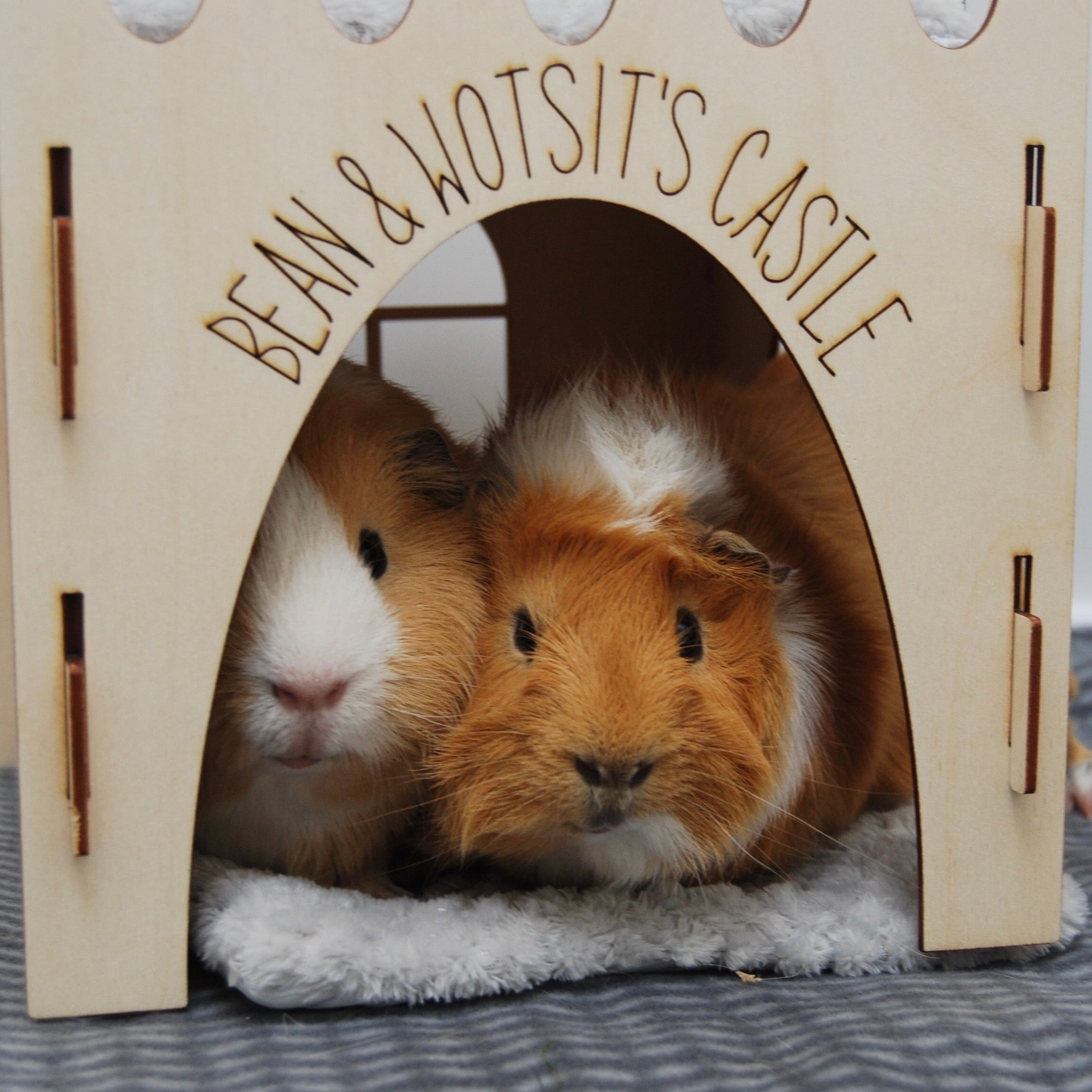 Guinea Pig Castle