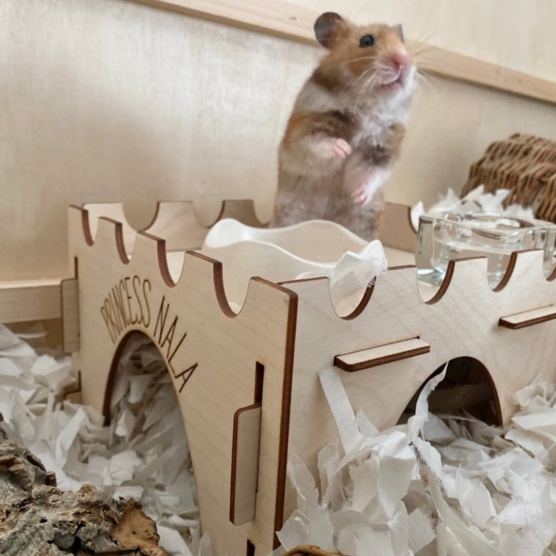 Hamster Castle