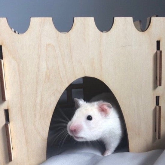 Hamster Castle