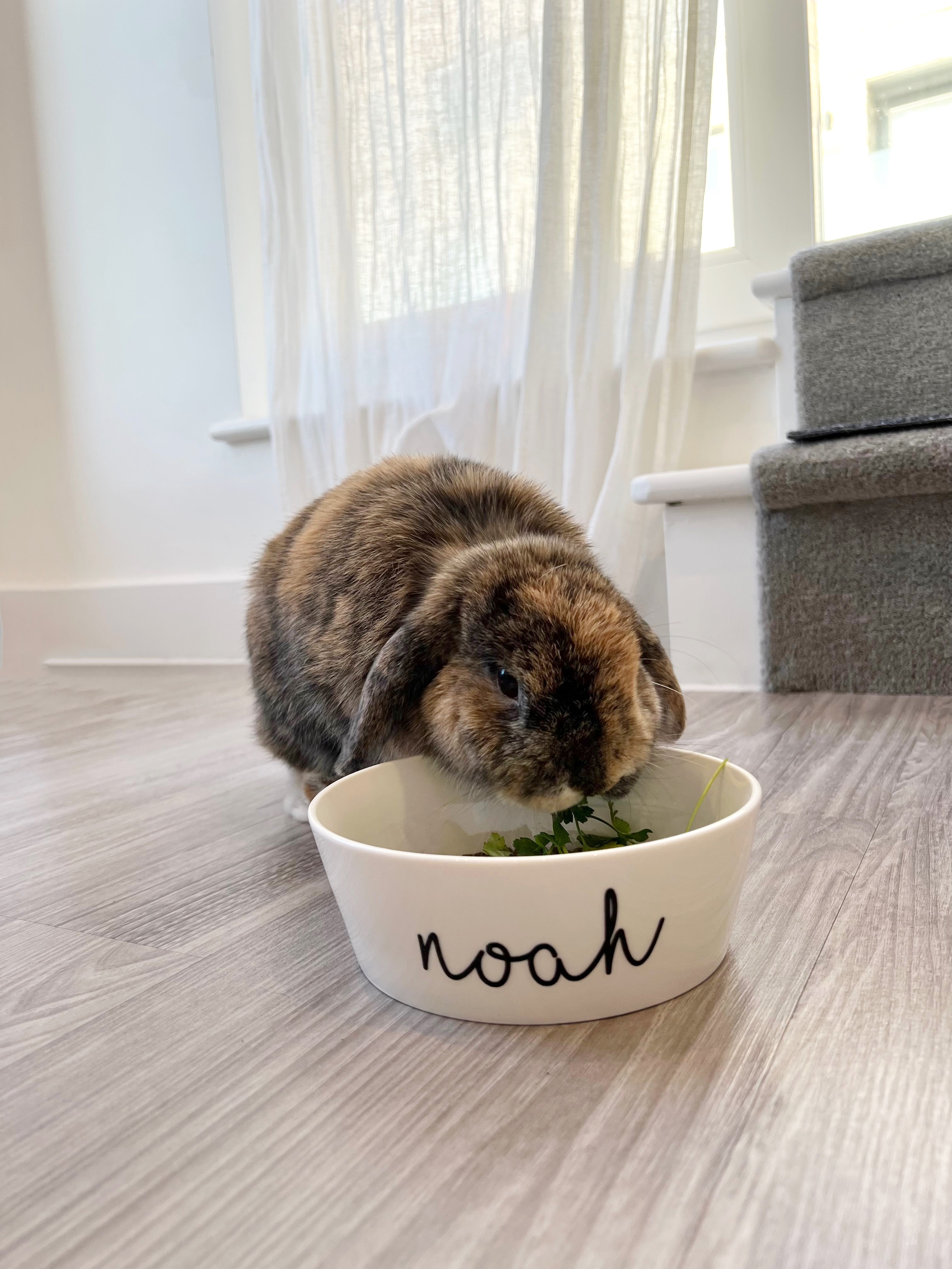 Personalised Pet Bowls