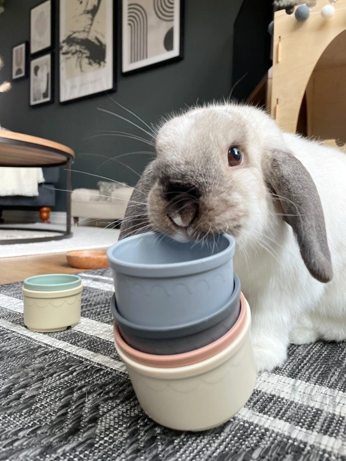 Stacking Cups