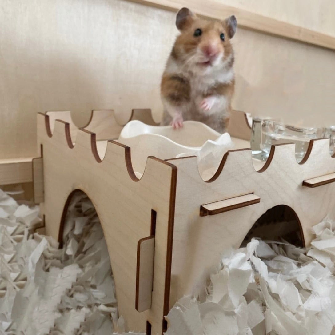 Hamster Castle