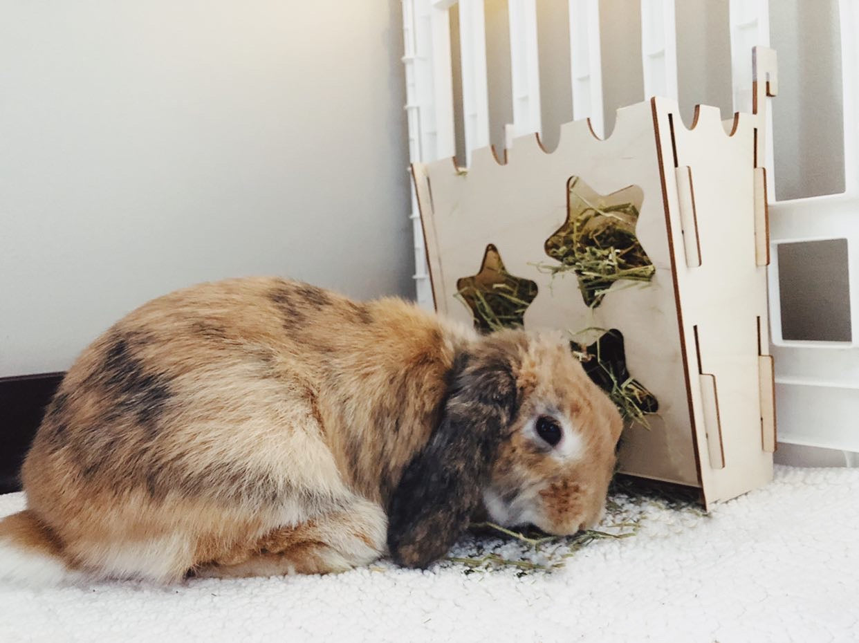 Essential Hay Rack