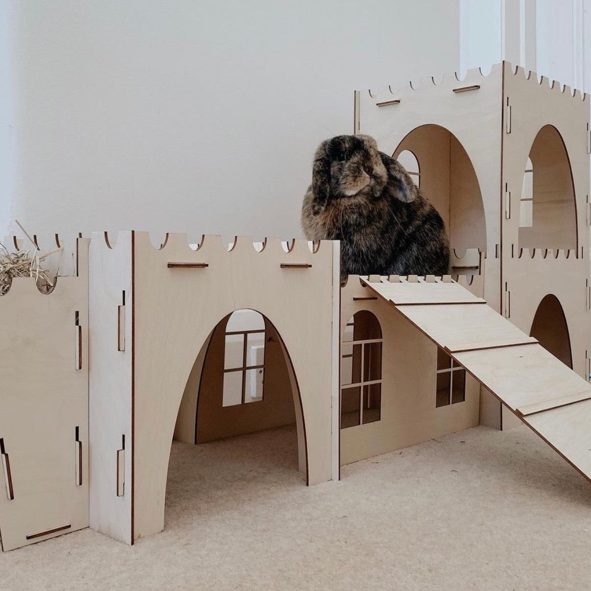 Essential Forts