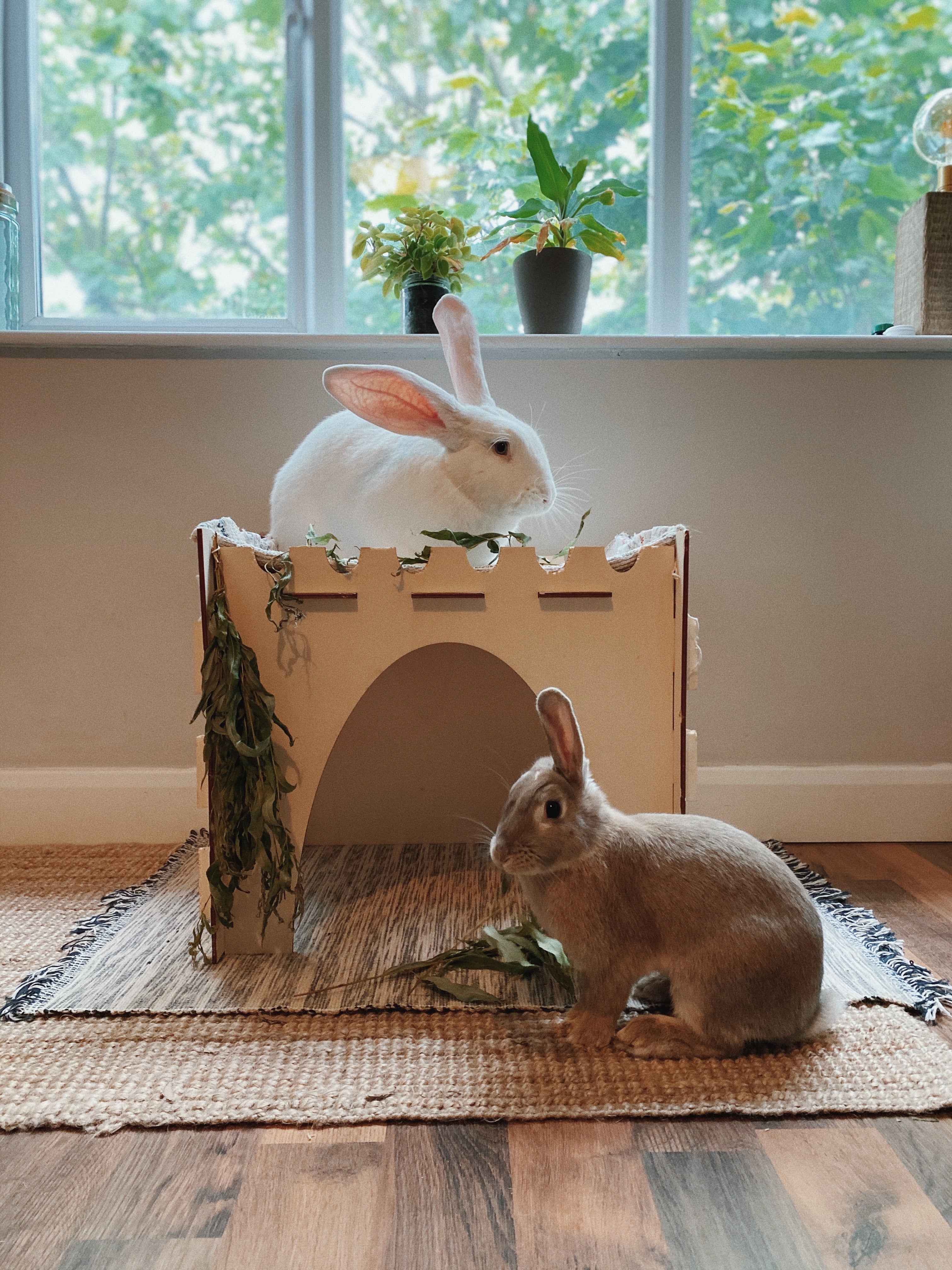 Giant Cosy’s Castle