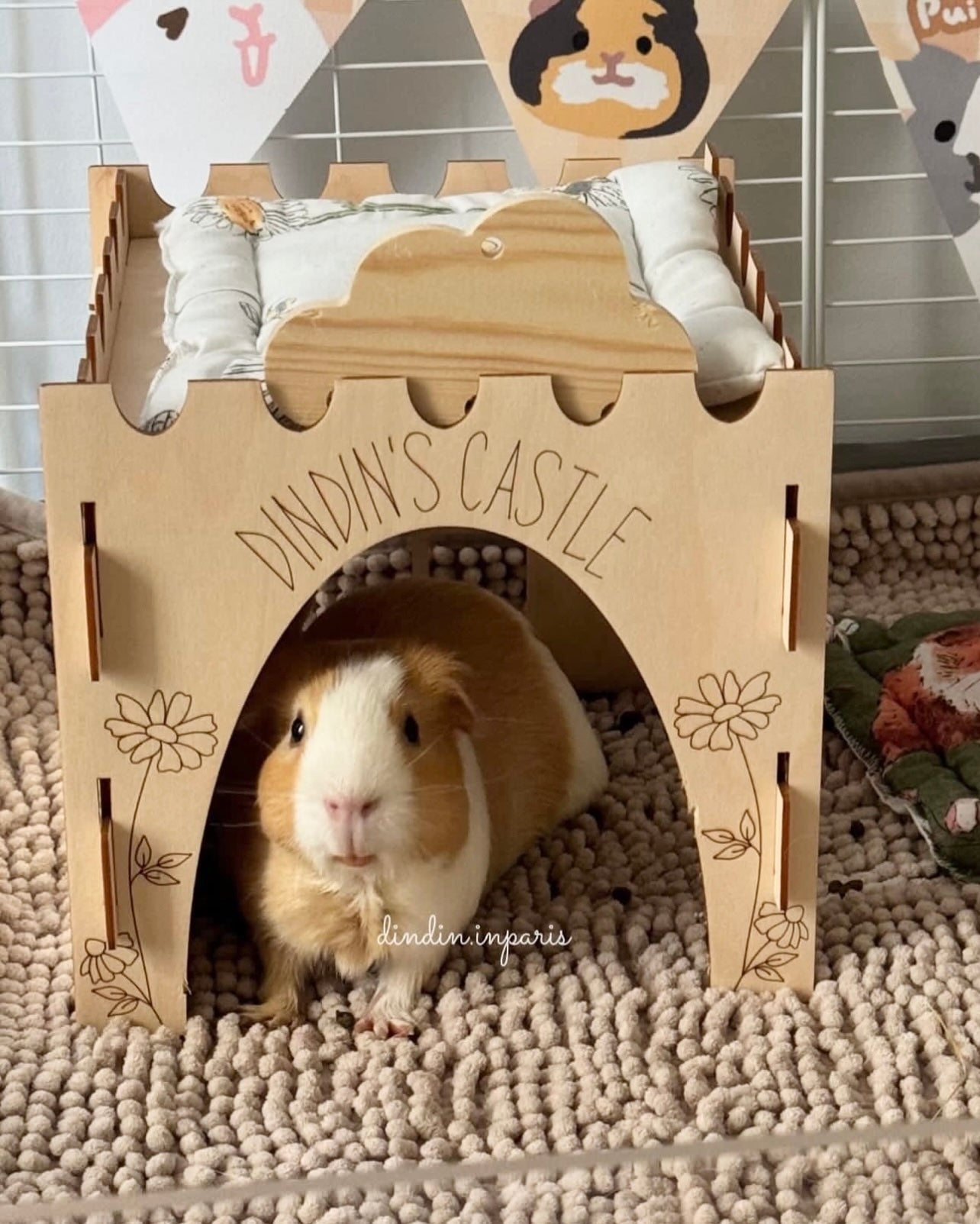 Guinea Pig Castle