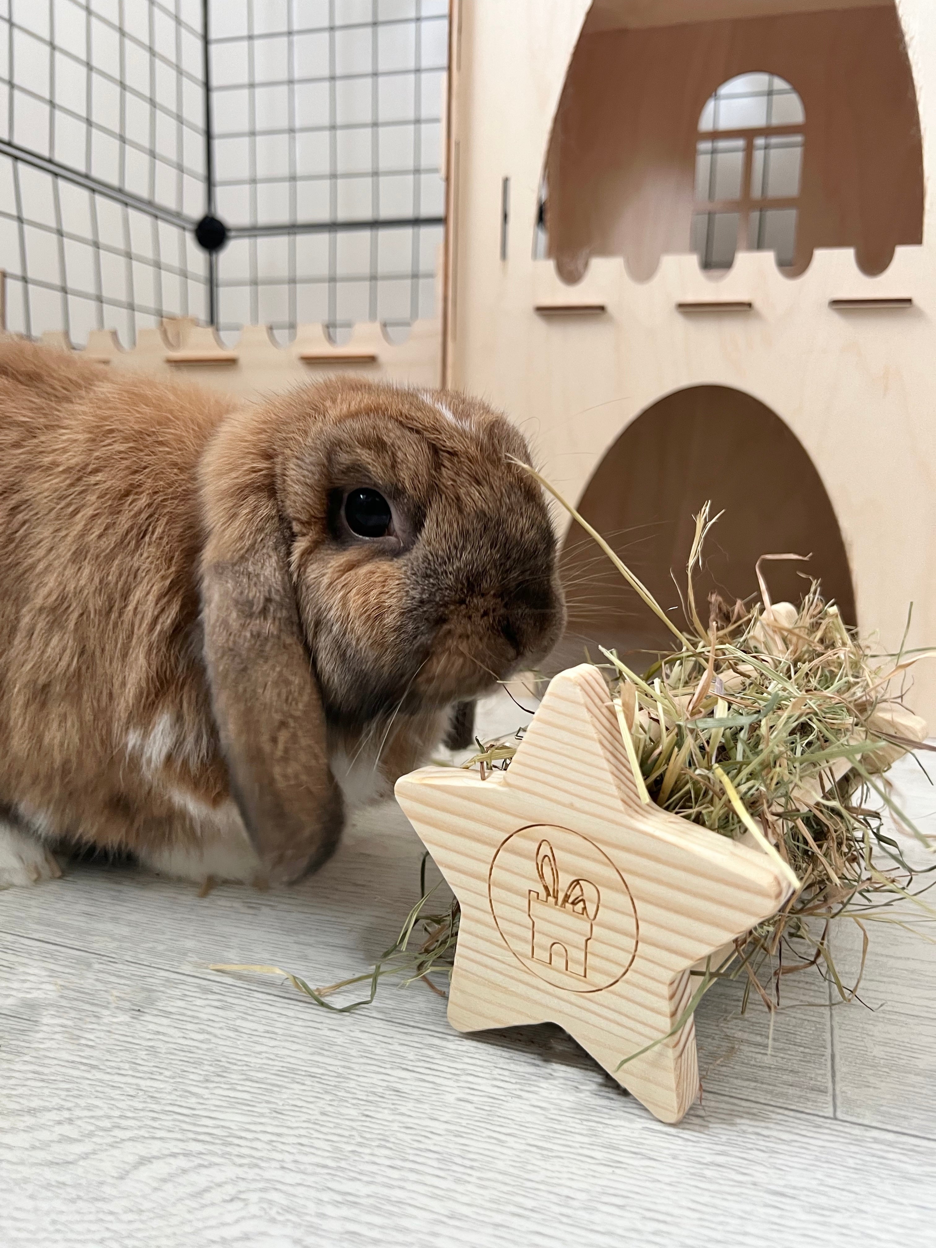 Pets at hotsell home hay feeder