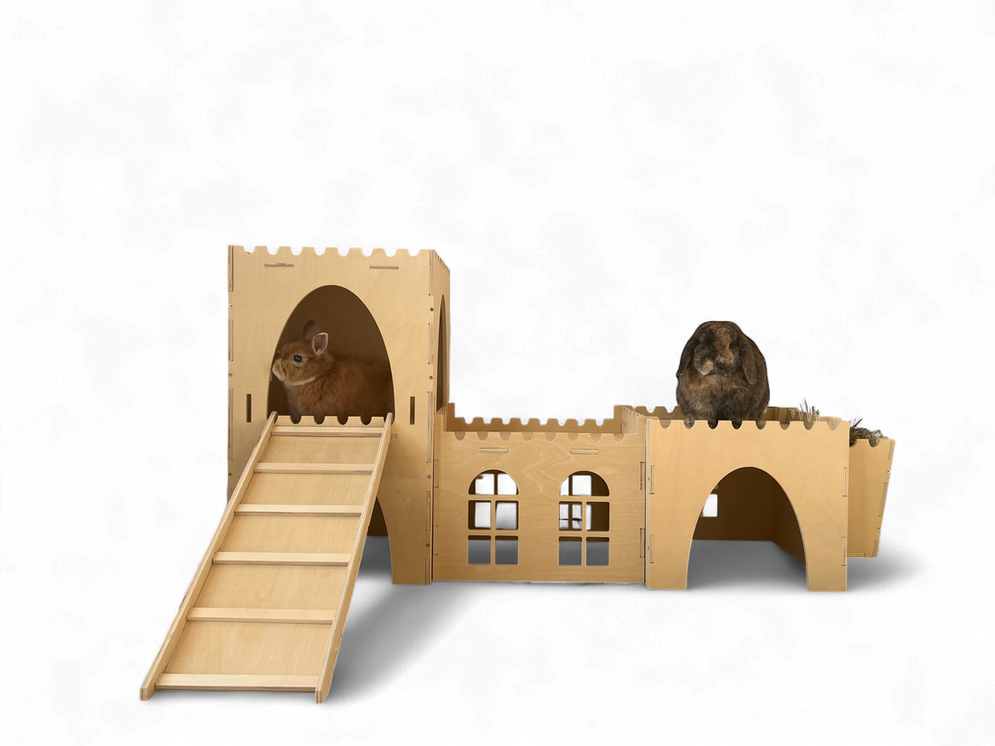 Premium Forts