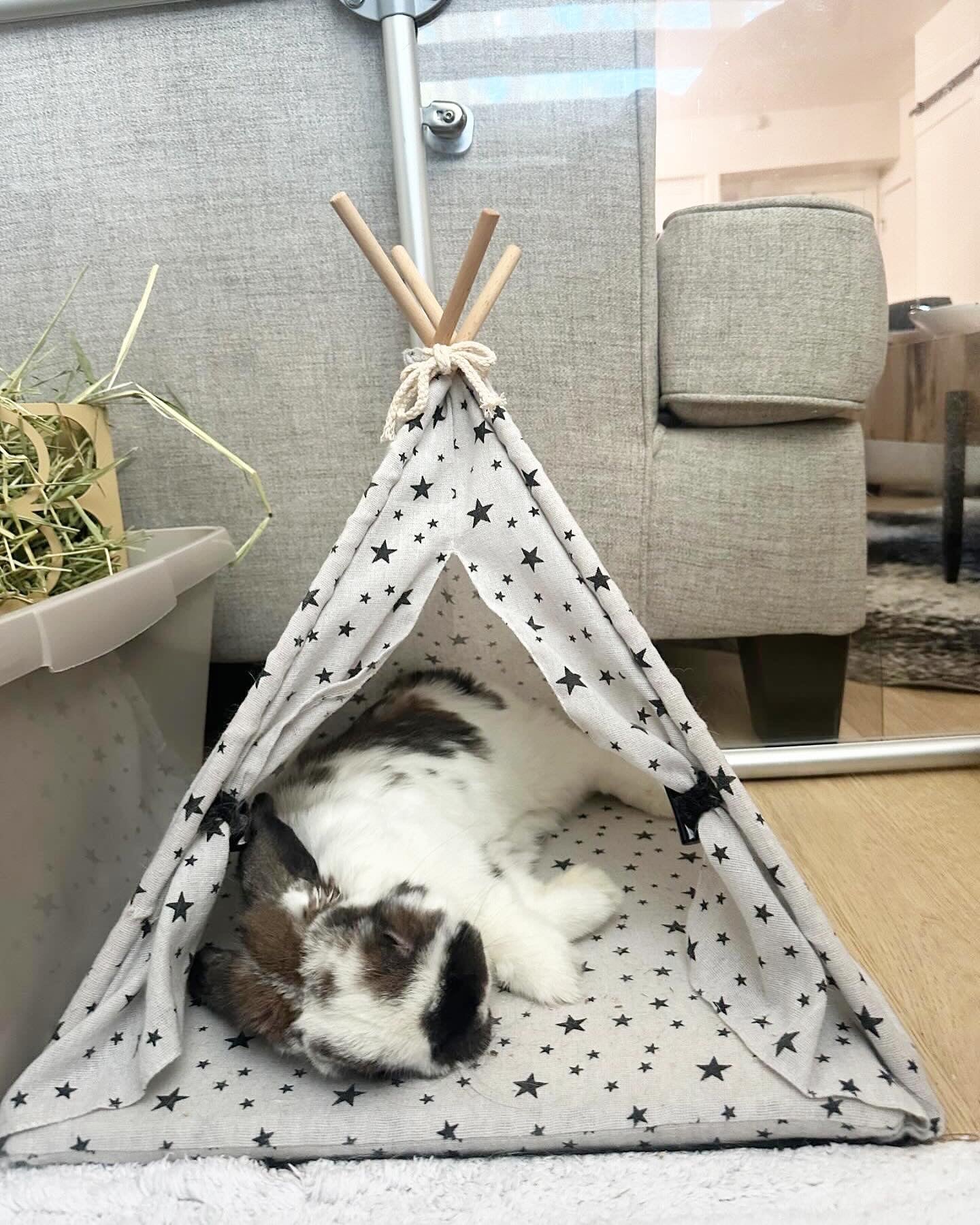 Bunny Teepee Cosy s Castles