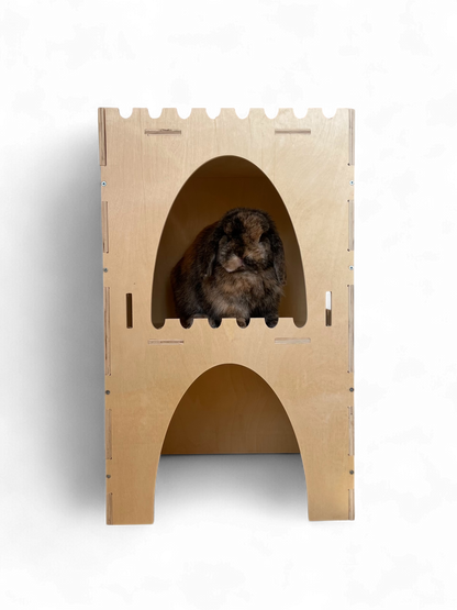 Premium Double Storey Castle