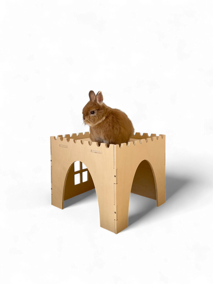 Premium Castle