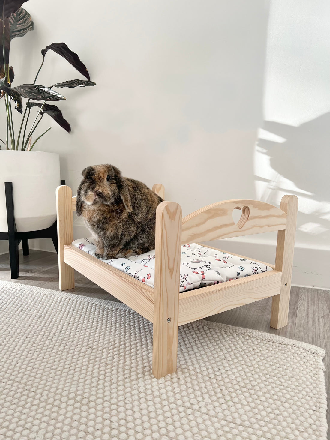 Bunny Bed & Cushion Bundle