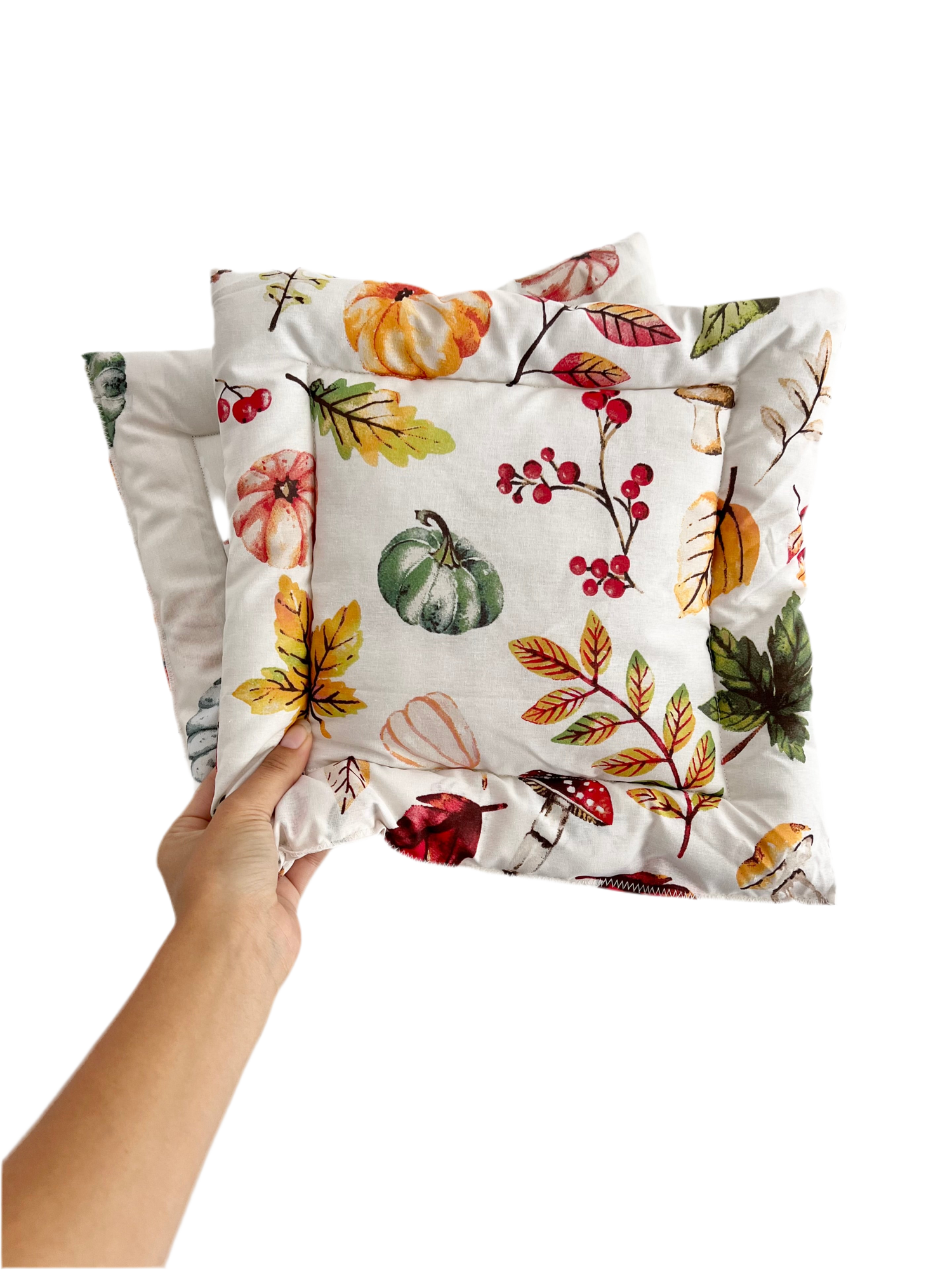 Autumn Castle Cushions