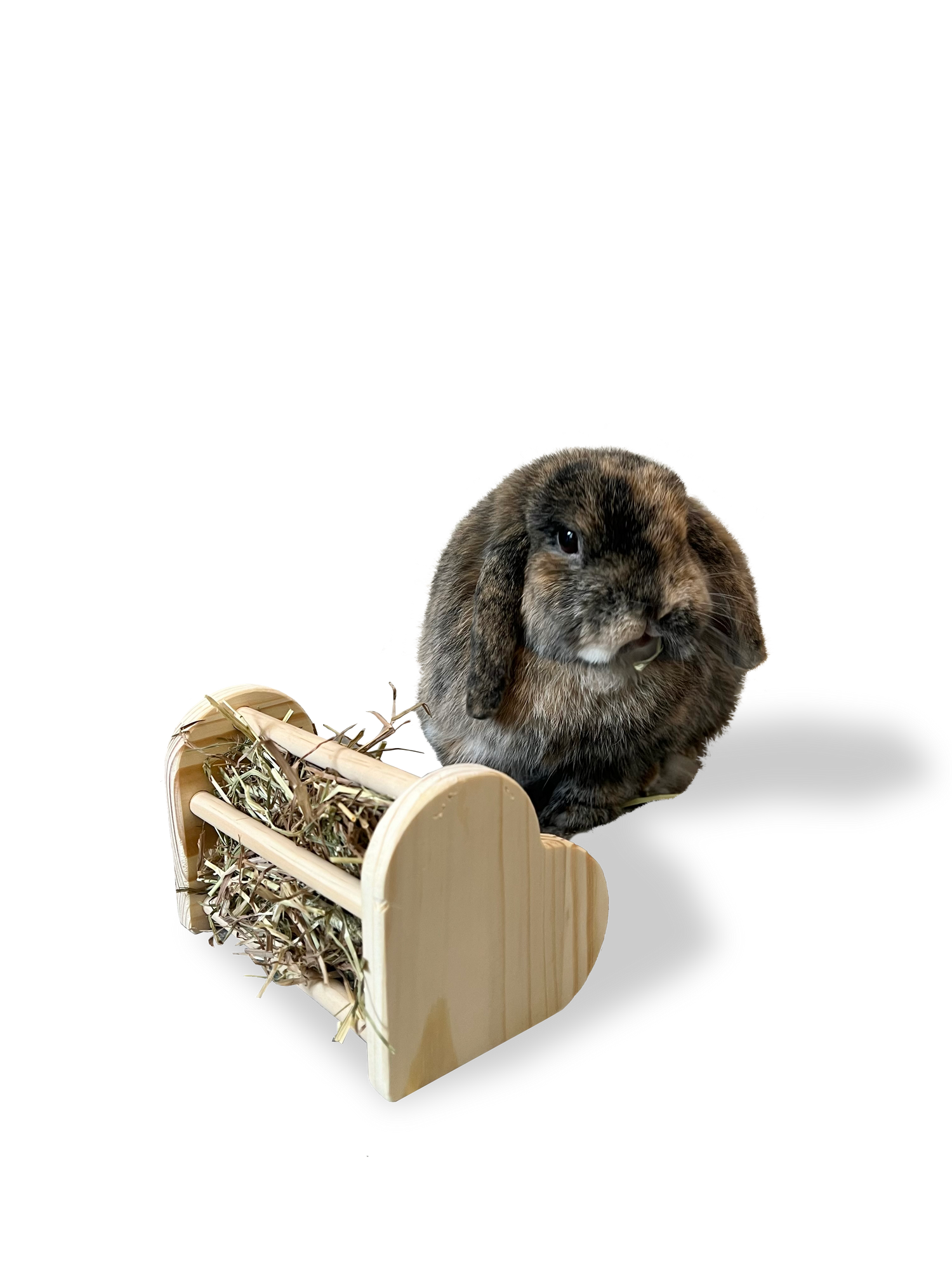 Mini Heart Hay Feeder