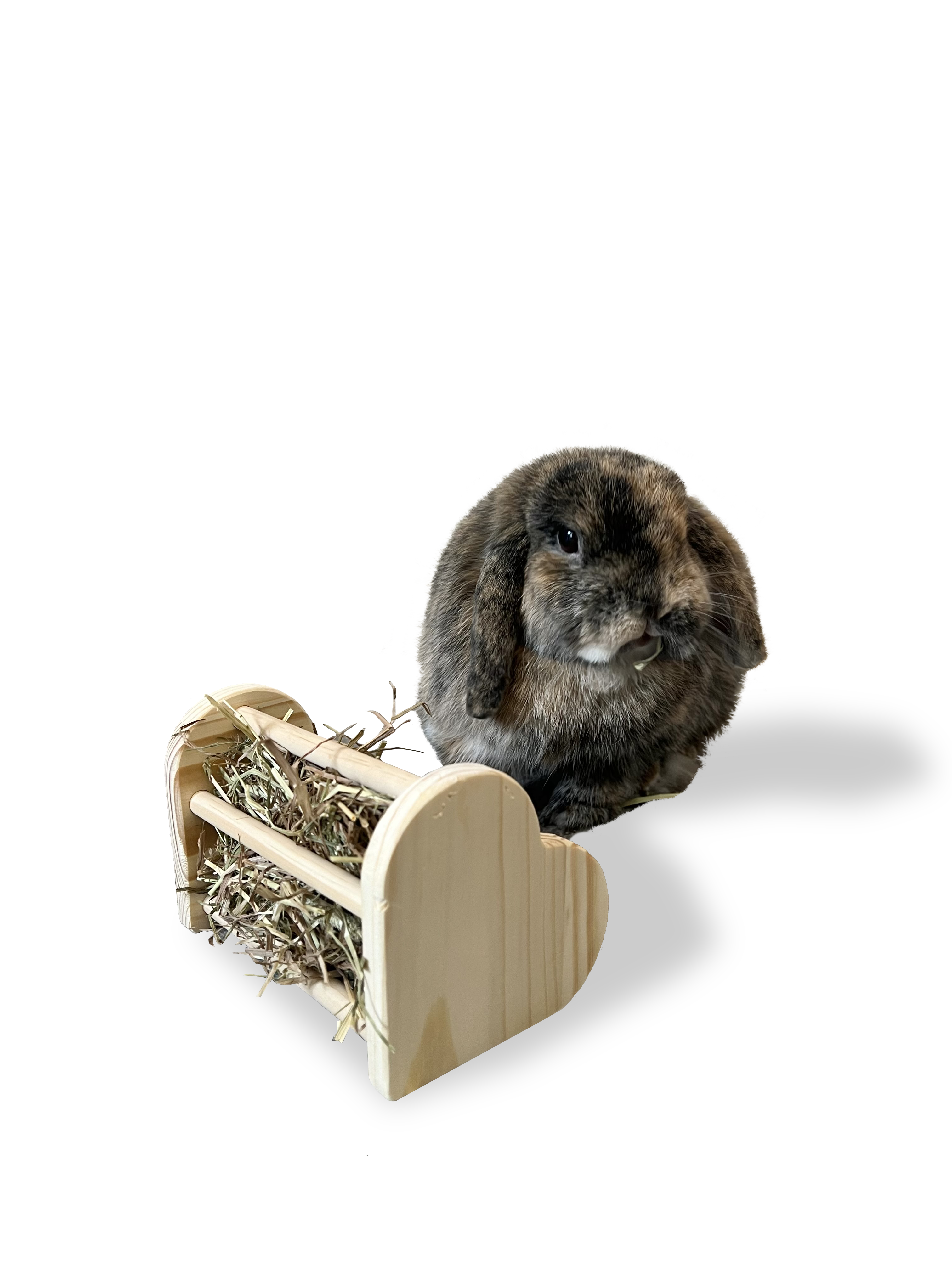 Mini Heart Hay Feeder