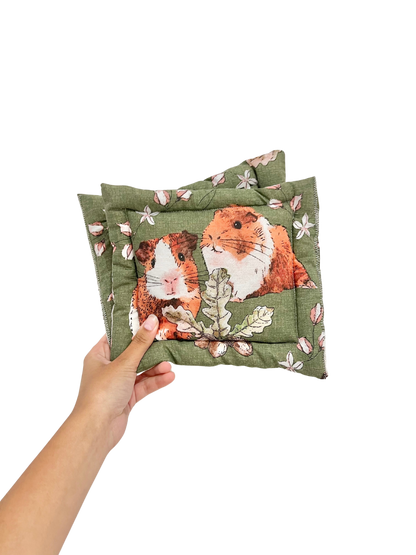 Guinea Pig Castle Cushion
