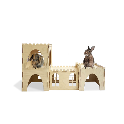 Essential Forts