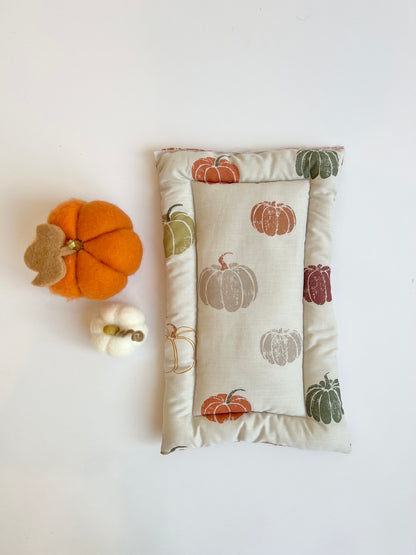 Autumn Castle Cushions