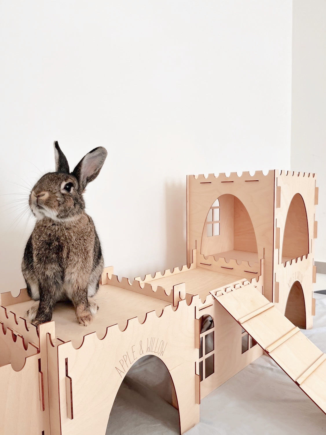 Double Storey Castle, Castle, Tunnel, Hay Rack & Ramp – Cosy's Castles