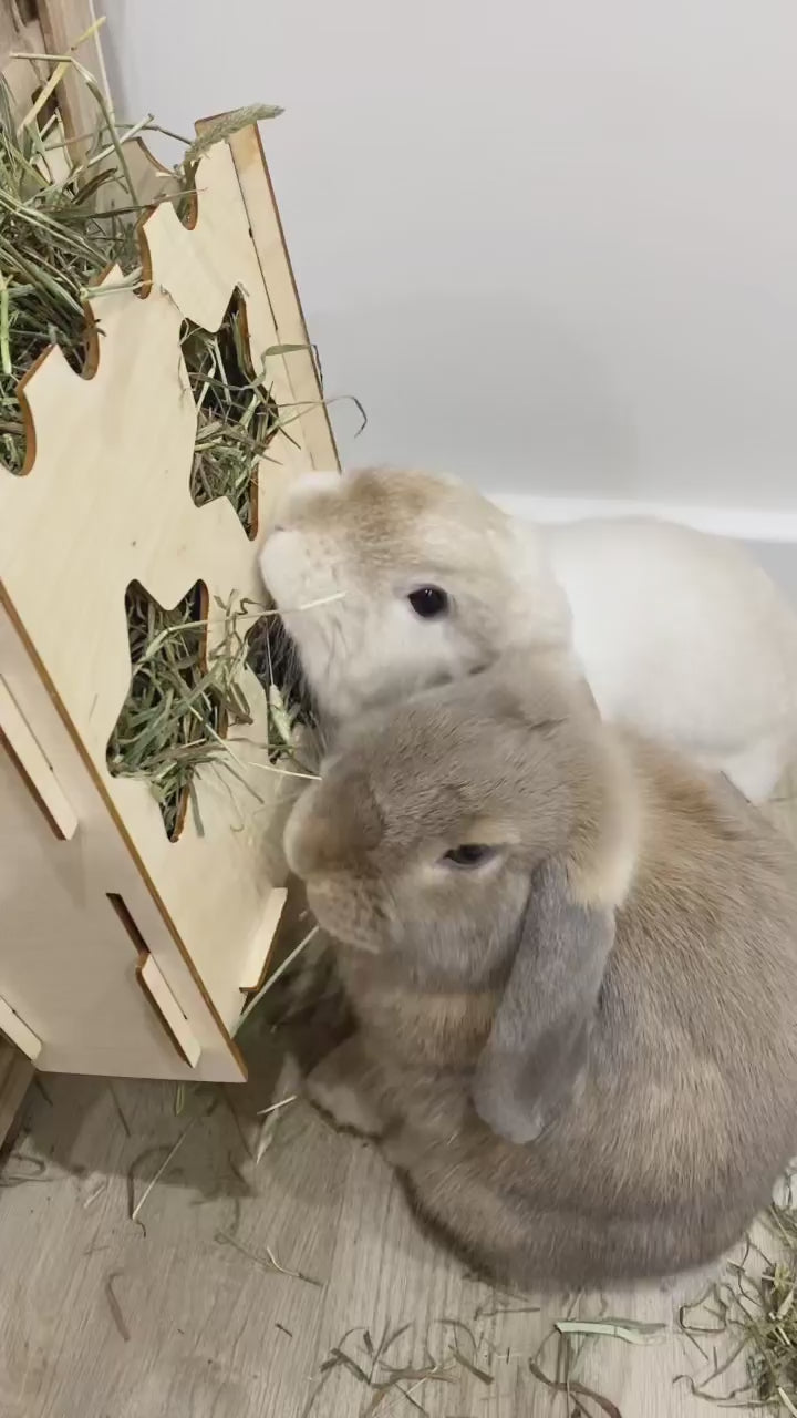 Large hay rack for rabbits hotsell