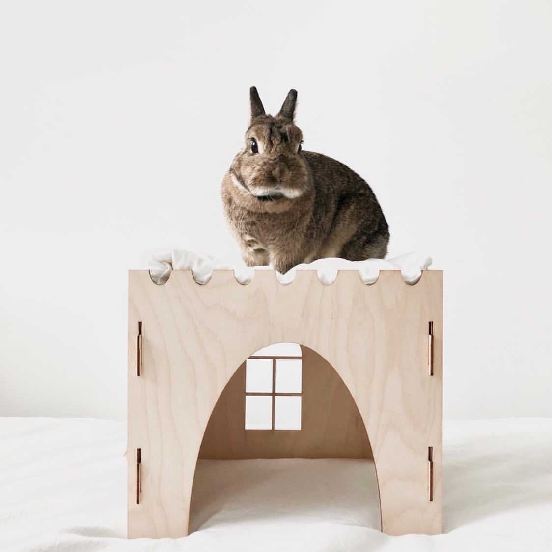 Indoor clearance rabbit castle