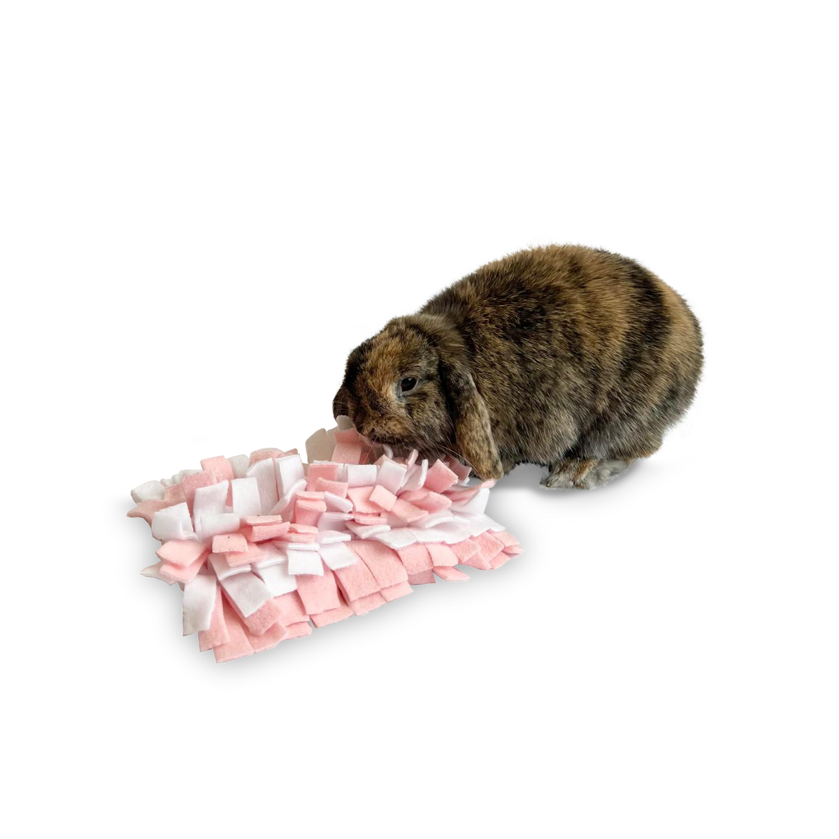 Cartoon Snuffle Mat Snuffle Mats – Cosy's Castles