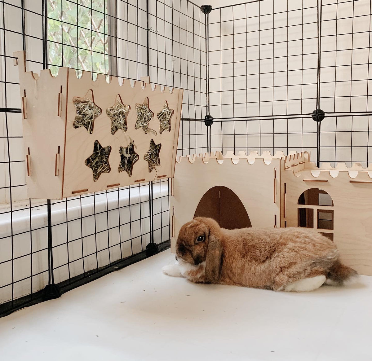 Degu Hay Rack Essential Double Hay Rack – Cosy's Castles