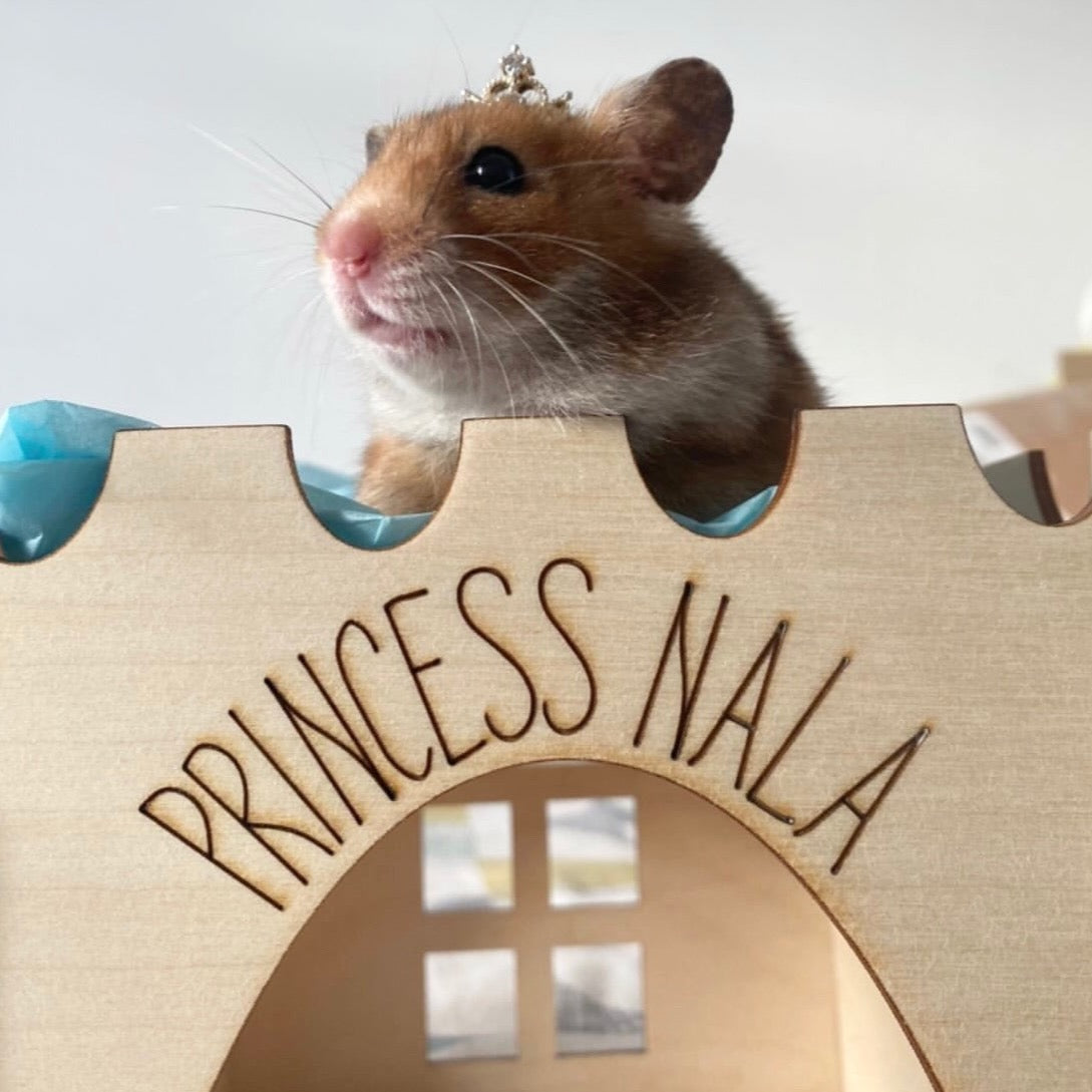 Hamster princess castle clearance cage