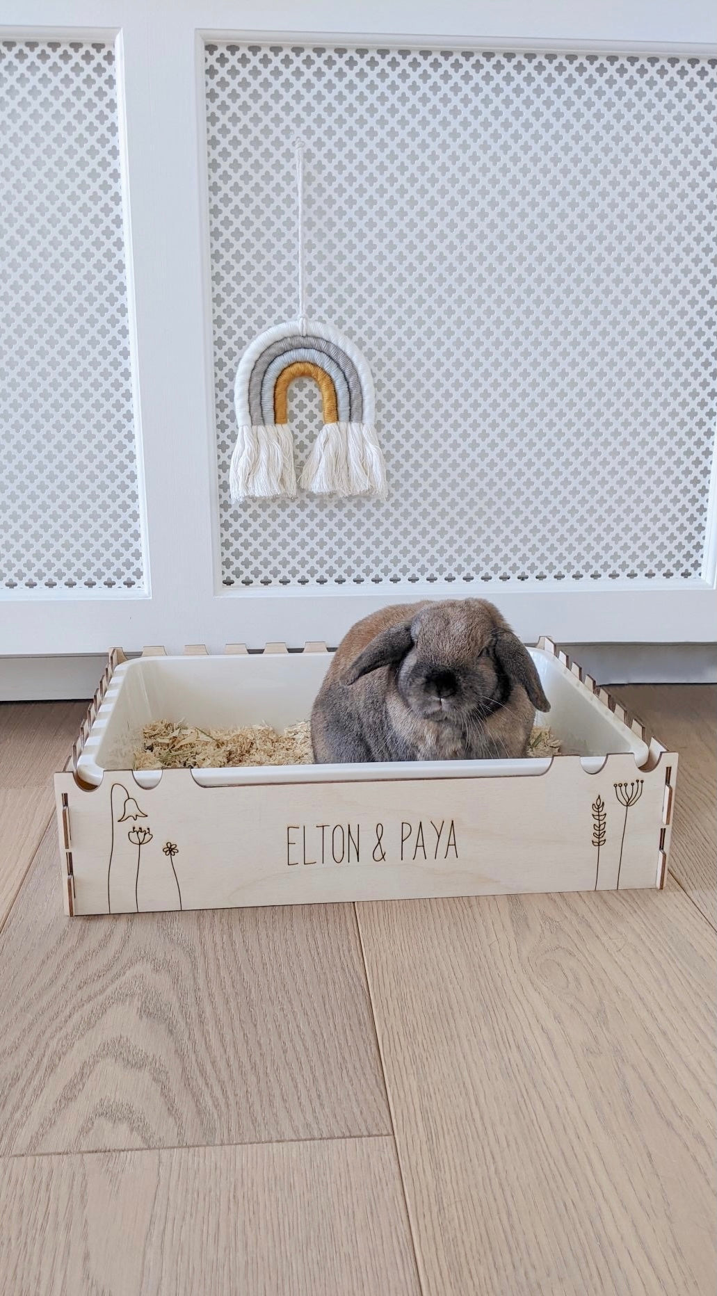 Rabbit using litter box sales as bed