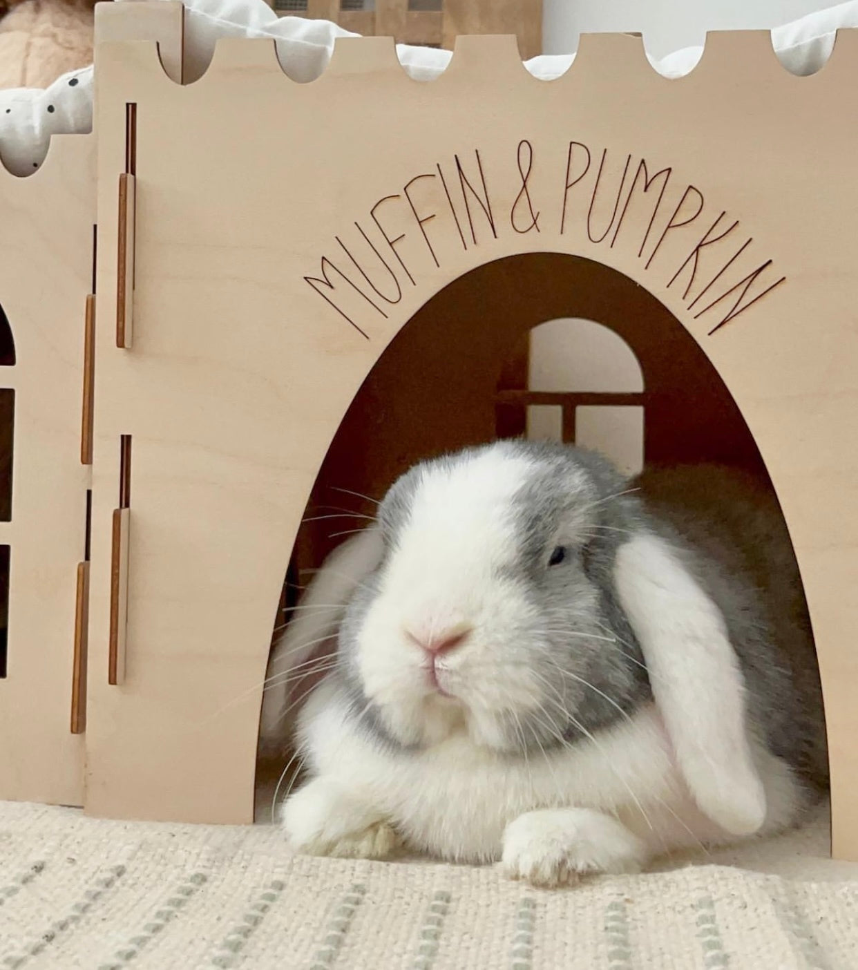 Essential Castle – Cosy's Castles