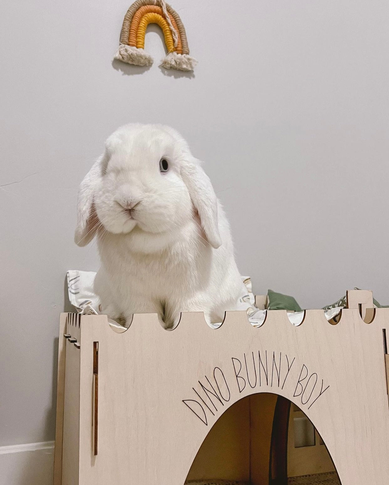 Diy bunny outlet hidey house